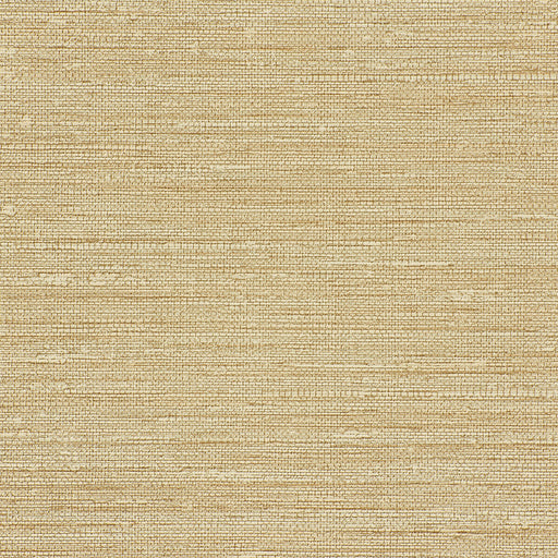 KRAVET DESIGN - KRAVET DESIGN- W3688-16 - Wallcovering by the Yard W3688-16