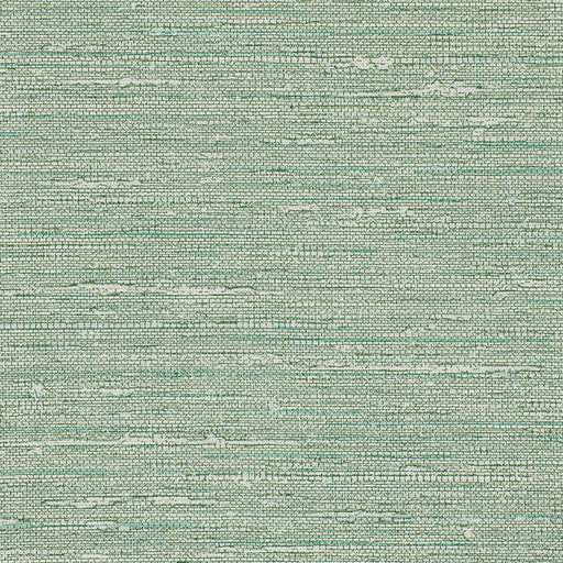 KRAVET DESIGN - KRAVET DESIGN- W3688-353 - Wallcovering by the Yard W3688-353