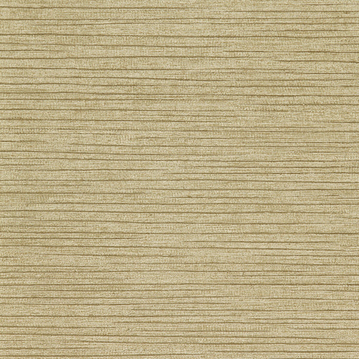 KRAVET DESIGN - KRAVET DESIGN- W3702-106 - Wallcovering by the Yard W3702-106