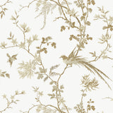 KRAVET DESIGN - KRAVET DESIGN- W3714-101 - Wallcovering by the Roll