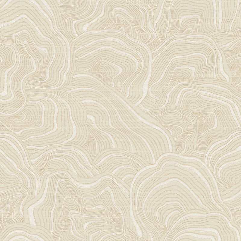 KRAVET DESIGN - KRAVET DESIGN- W3719-116 - Wallcovering by the Roll W3719-116
