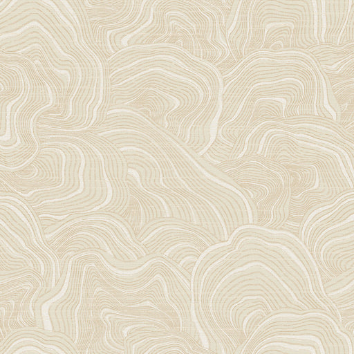 KRAVET DESIGN - KRAVET DESIGN- W3719-116 - Wallcovering by the Roll W3719-116