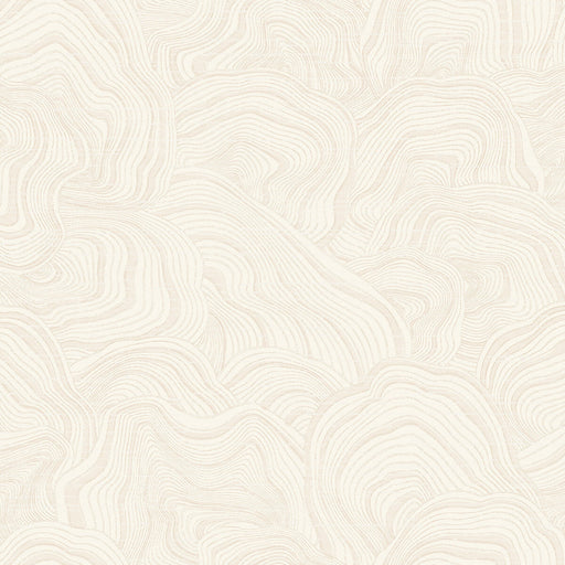 KRAVET DESIGN - KRAVET DESIGN- W3719-1 - Wallcovering by the Roll W3719-1