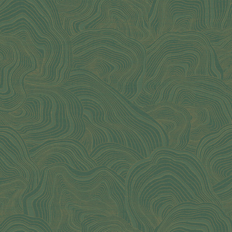 KRAVET DESIGN - KRAVET DESIGN- W3719-3 - Wallcovering by the Roll W3719-3