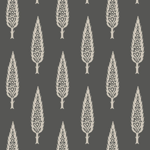 KRAVET DESIGN - KRAVET DESIGN- W3775-8 - Wallcovering by the Roll W3775-8
