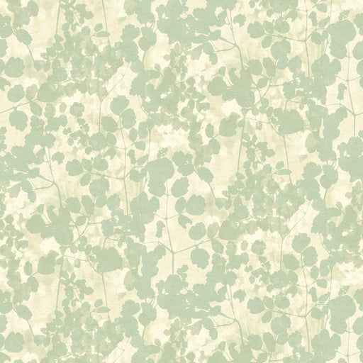 KRAVET DESIGN - KRAVET DESIGN- W3791-135 - Wallcovering by the Roll W3791-135