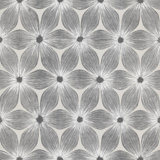 KRAVET DESIGN - KRAVET DESIGN- W3800-101 - Wallcovering by the Roll W3800-101