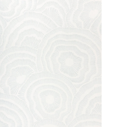 KRAVET COUTURE - PANACHE WP- SKY - Wallcovering by the Roll SKY