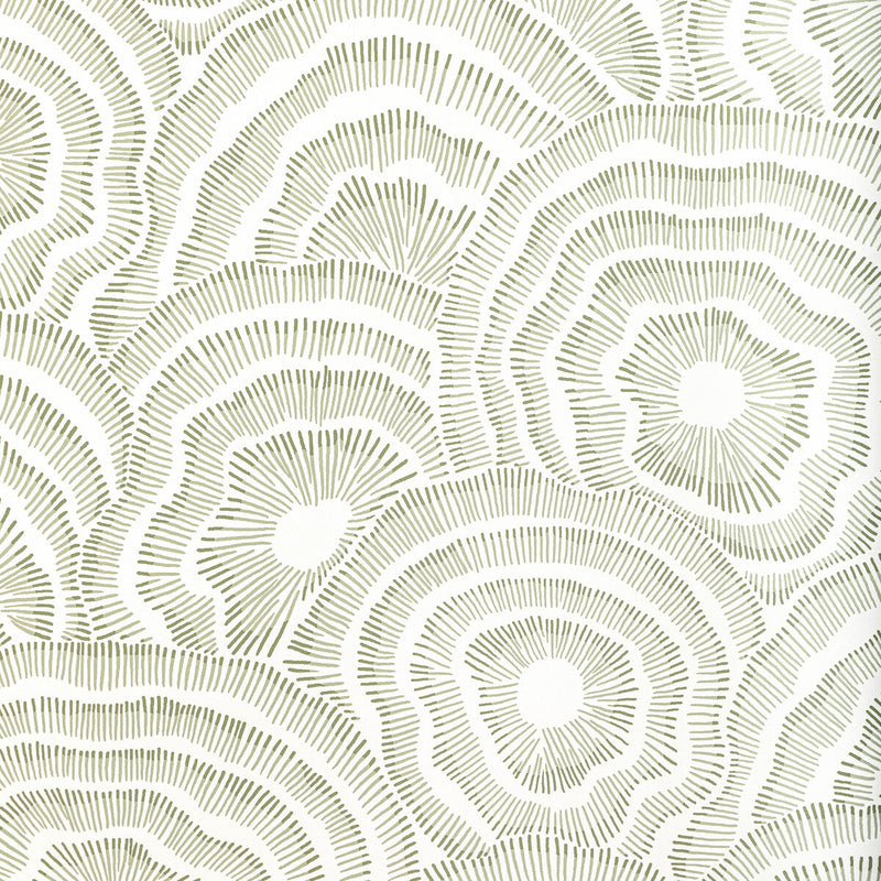 KRAVET COUTURE - PANACHE WP- LEAF - Wallcovering by the Roll LEAF