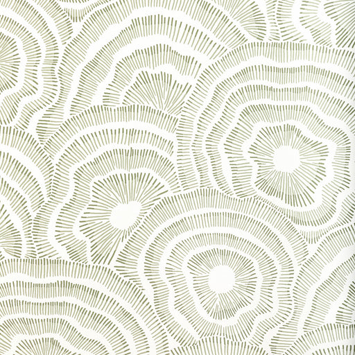 KRAVET COUTURE - PANACHE WP- LEAF - Wallcovering by the Roll LEAF