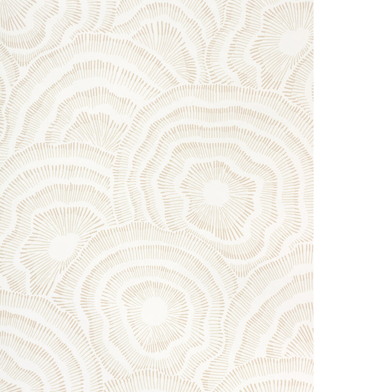 KRAVET COUTURE - PANACHE WP- NATURAL - Wallcovering by the Roll NATURAL