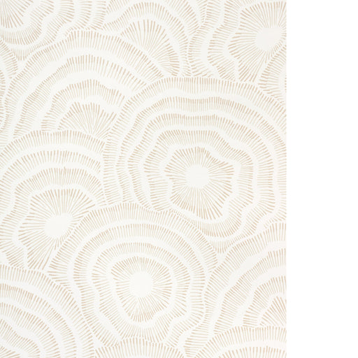 KRAVET COUTURE - PANACHE WP- NATURAL - Wallcovering by the Roll NATURAL