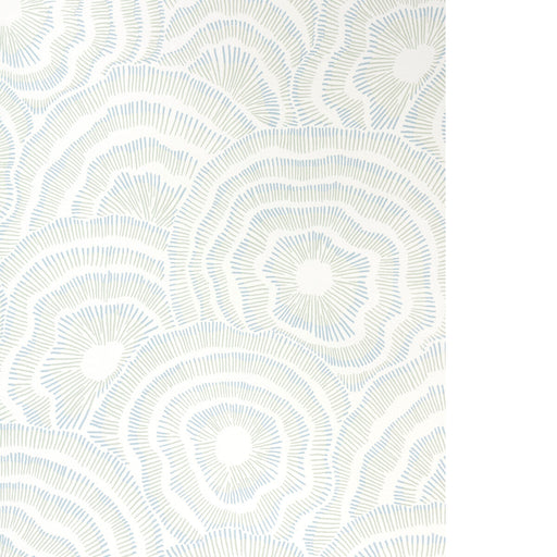 KRAVET COUTURE - PANACHE WP- SEAFOAM - Wallcovering by the Roll SEAFOAM