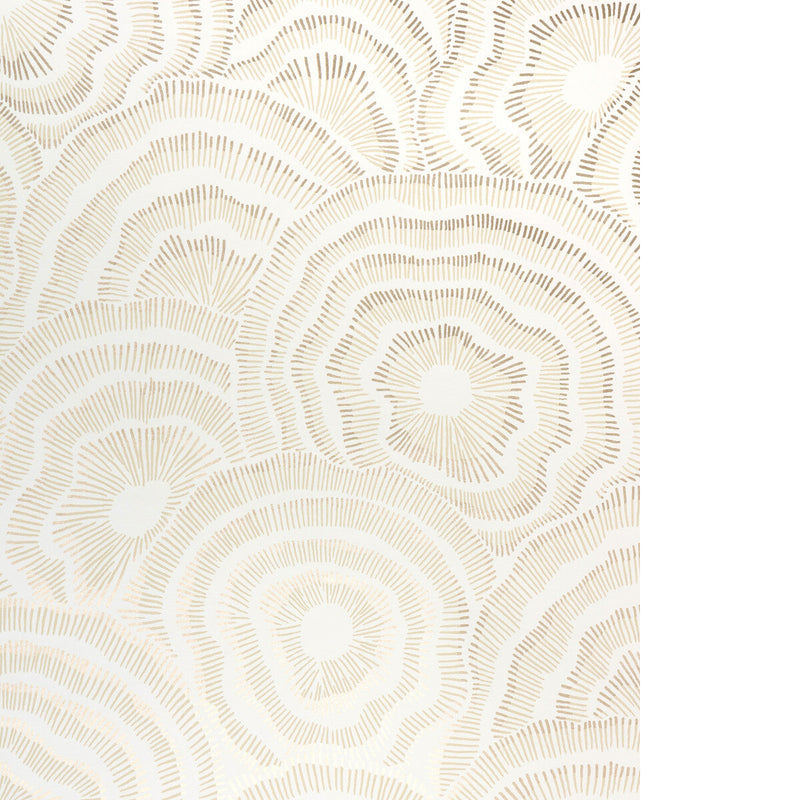 KRAVET COUTURE - PANACHE WP- CHAMPAGNE - Wallcovering by the Roll CHAMPAGNE