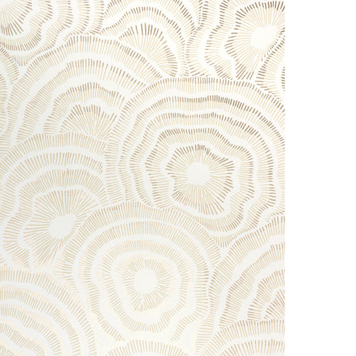 KRAVET COUTURE - PANACHE WP- CHAMPAGNE - Wallcovering by the Roll CHAMPAGNE