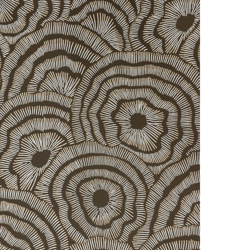 KRAVET COUTURE - PANACHE WP- CHOCOLATE - Wallcovering by the Roll CHOCOLATE