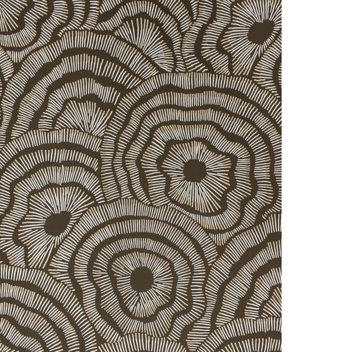 KRAVET COUTURE - PANACHE WP- CHOCOLATE - Wallcovering by the Roll CHOCOLATE