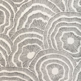 KRAVET COUTURE - PANACHE WP- NOIR - Wallcovering by the Roll