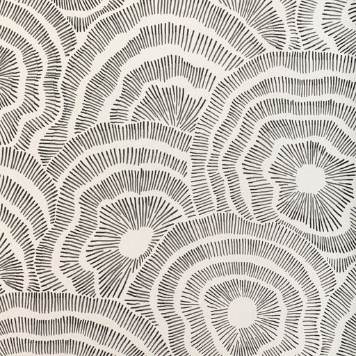 KRAVET COUTURE - PANACHE WP- NOIR - Wallcovering by the Roll NOIR