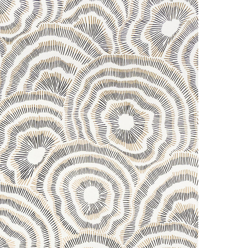 KRAVET COUTURE - PANACHE WP- ONYX - Wallcovering by the Roll ONYX
