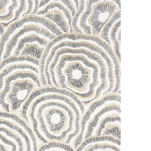 KRAVET COUTURE - PANACHE WP- ONYX - Wallcovering by the Roll ONYX