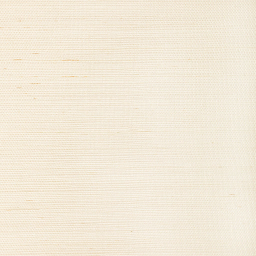 KRAVET COUTURE - LUXE SISAL- BONE - Wallcovering by the Yard BONE