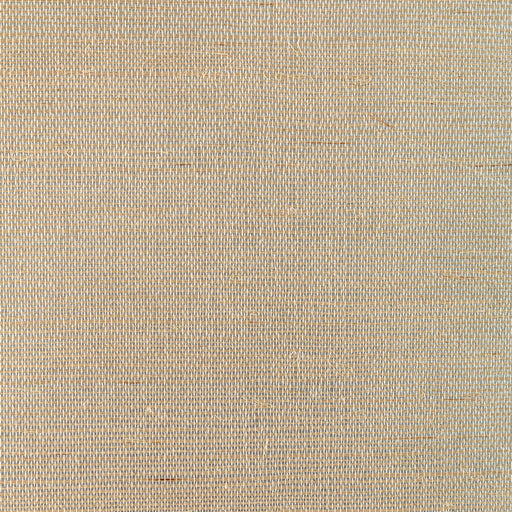 KRAVET COUTURE - GLAM SISAL- NATURAL - Wallcovering by the Yard NATURAL