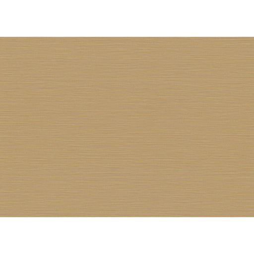 KRAVET COUTURE - CANNETE WP- 10377 - Wallcovering by the Yard 10377