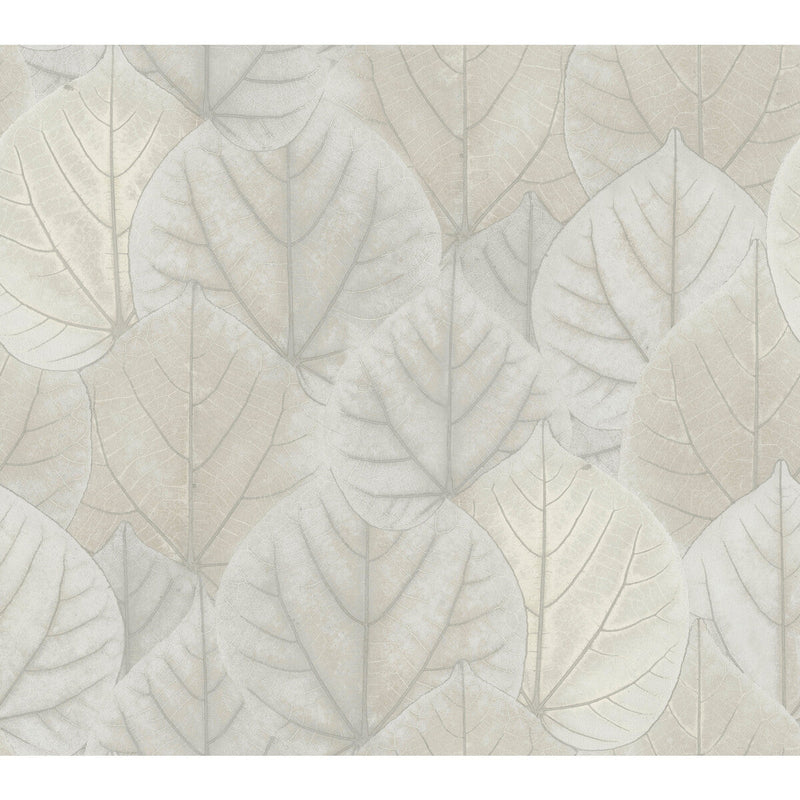 KRAVET DESIGN - KRAVET DESIGN- W3880-1101 - Wallcovering by the Roll W3880-1101