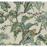 KRAVET DESIGN - KRAVET DESIGN- W3915-315 - Wallcovering by the Roll