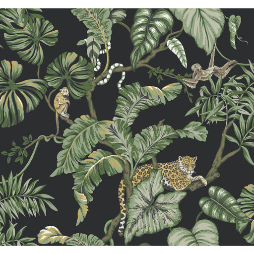 KRAVET DESIGN - KRAVET DESIGN- W3915-83 - Wallcovering by the Roll W3915-83