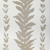 KRAVET COUTURE - CLIMBING LEAVES WP- FAWN - Wallcovering by the Roll