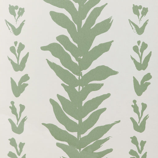 KRAVET COUTURE - CLIMBING LEAVES WP- SAGE - Wallcovering by the Roll SAGE