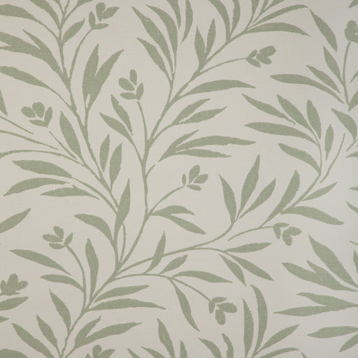 KRAVET COUTURE - WISPY VINES WP- LICHEN - Wallcovering by the Roll LICHEN