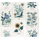 KRAVET DESIGN - KRAVET DESIGN- W3947-350 - Wallcovering by the Roll