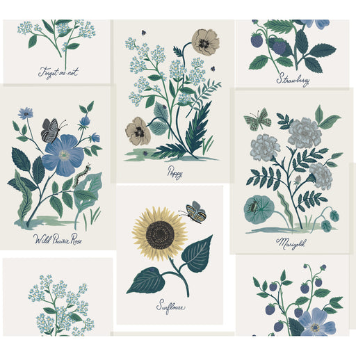 KRAVET DESIGN - KRAVET DESIGN- W3947-350 - Wallcovering by the Roll W3947-350
