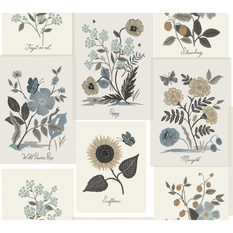 KRAVET DESIGN - KRAVET DESIGN- W3947-6106 - Wallcovering by the Roll W3947-6106
