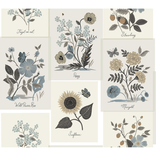 KRAVET DESIGN - KRAVET DESIGN- W3947-6106 - Wallcovering by the Roll W3947-6106