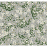 KRAVET DESIGN - KRAVET DESIGN- W3948-1123 - Wallcovering by the Roll