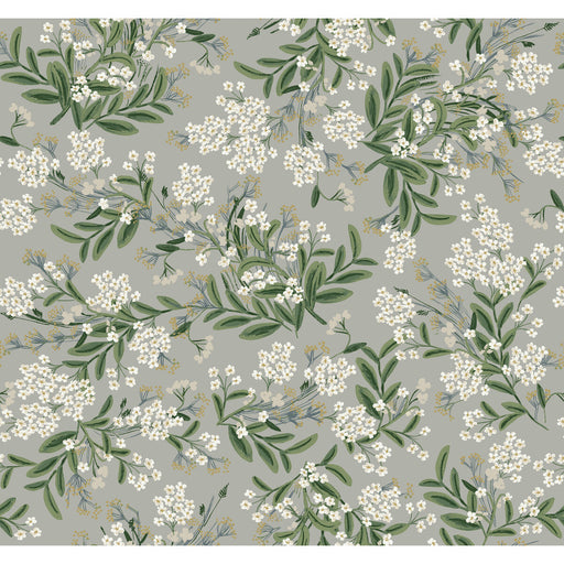 KRAVET DESIGN - KRAVET DESIGN- W3948-1123 - Wallcovering by the Roll W3948-1123
