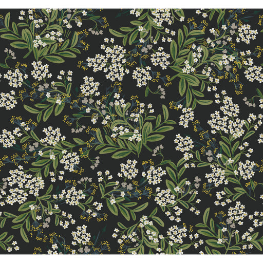 KRAVET DESIGN - KRAVET DESIGN- W3948-81 - Wallcovering by the Roll W3948-81