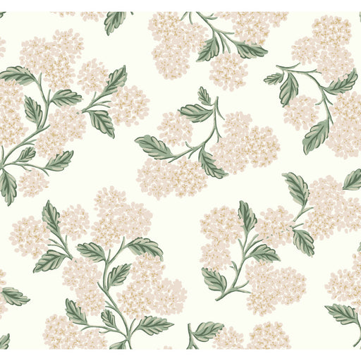 KRAVET DESIGN - KRAVET DESIGN- W3952-117 - Wallcovering by the Roll W3952-117