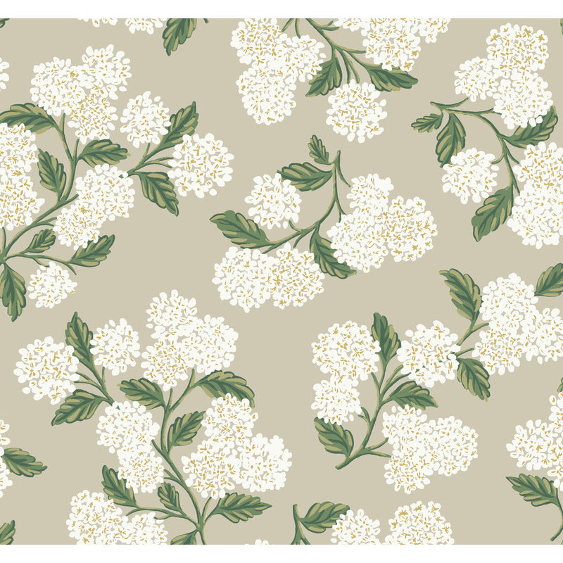 KRAVET DESIGN - KRAVET DESIGN- W3952-31 - Wallcovering by the Roll W3952-31