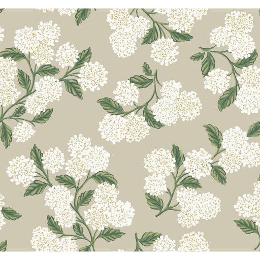 KRAVET DESIGN - KRAVET DESIGN- W3952-31 - Wallcovering by the Roll W3952-31
