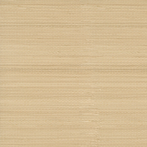 KRAVET DESIGN - KRAVET DESIGN- W3968-16 - Wallcovering by the Roll W3968-16