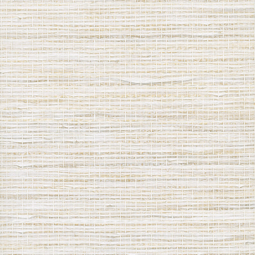 KRAVET DESIGN - KRAVET DESIGN- W3980-1 - Wallcovering by the Roll W3980-1
