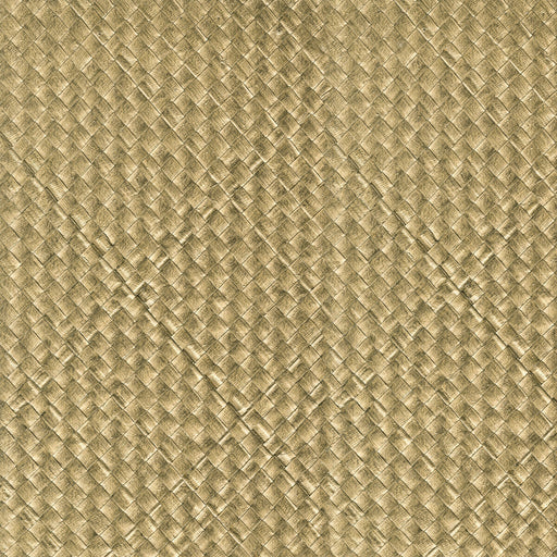 KRAVET DESIGN - KRAVET DESIGN- W3981-4 - Wallcovering by the Roll W3981-4