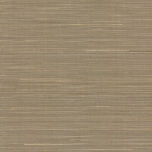 KRAVET DESIGN - KRAVET DESIGN- W3998-616 - Wallcovering by the Roll W3998-616