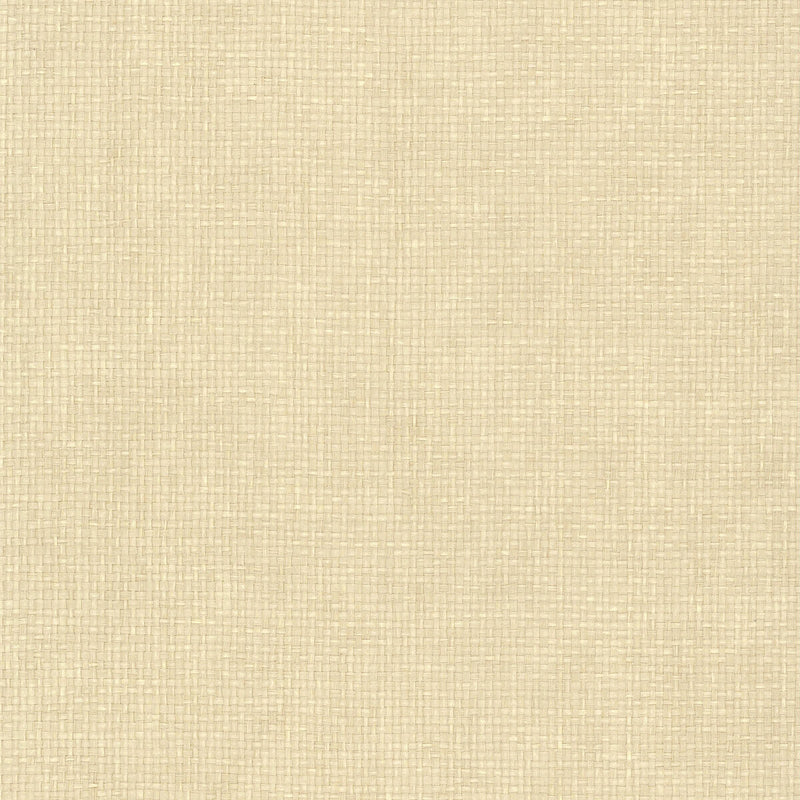 KRAVET DESIGN - KRAVET DESIGN- W3999-116 - Wallcovering by the Roll W3999-116