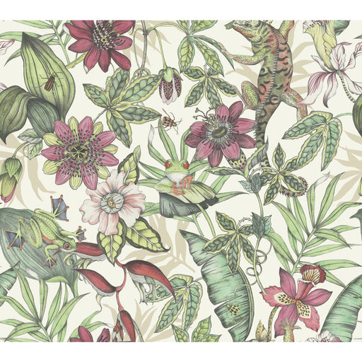 KRAVET DESIGN - KRAVET DESIGN- W4131-719 - Wallcovering by the Roll W4131-719